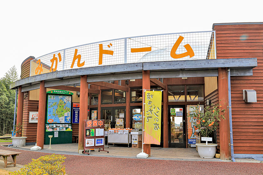 西海グルメや体験を楽しもう！「道の駅さいかい みかんドーム」