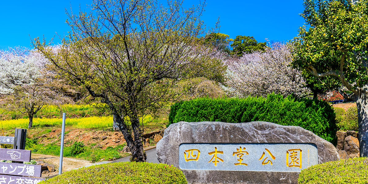 四本堂公園