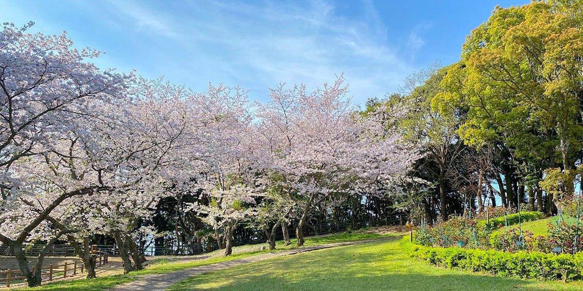 TAOYA西海橋_中庭_花